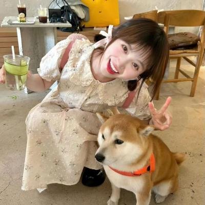 谎言对决